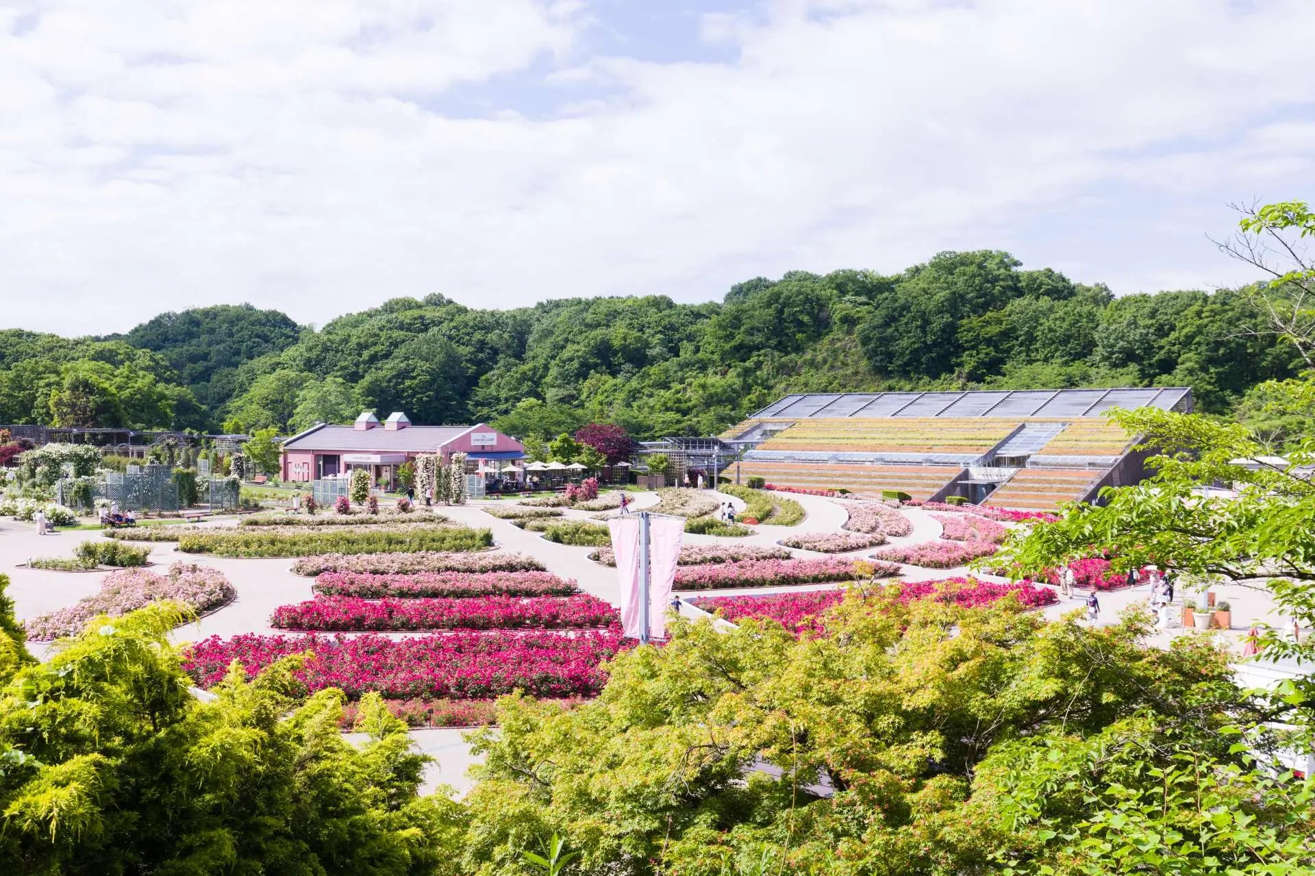🌹 기후 세계 장미 정원(기후 와루도 로즈 가덴)